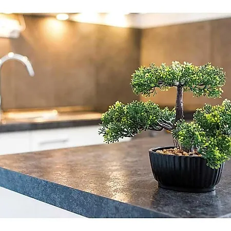 Olive Tree Ξενοδοχείο Σπλιτ