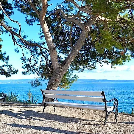 Olive Tree Ξενοδοχείο